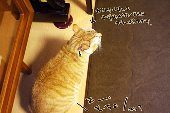 むごんのこうぎ2