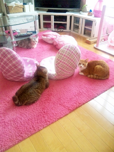 むごんのこうぎ8