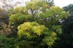 DSC02492.jpg
