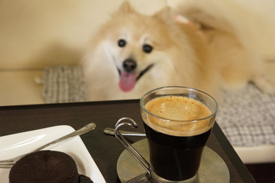 フォンダンショコラとコーヒー