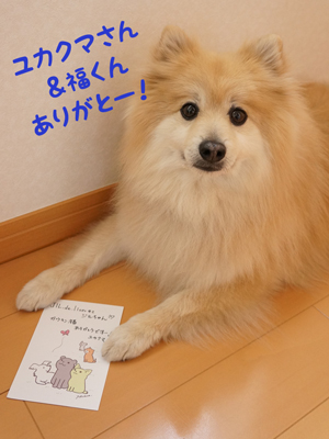 ユカクマさん、ありがとう!