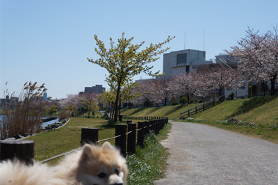 この場所で・・