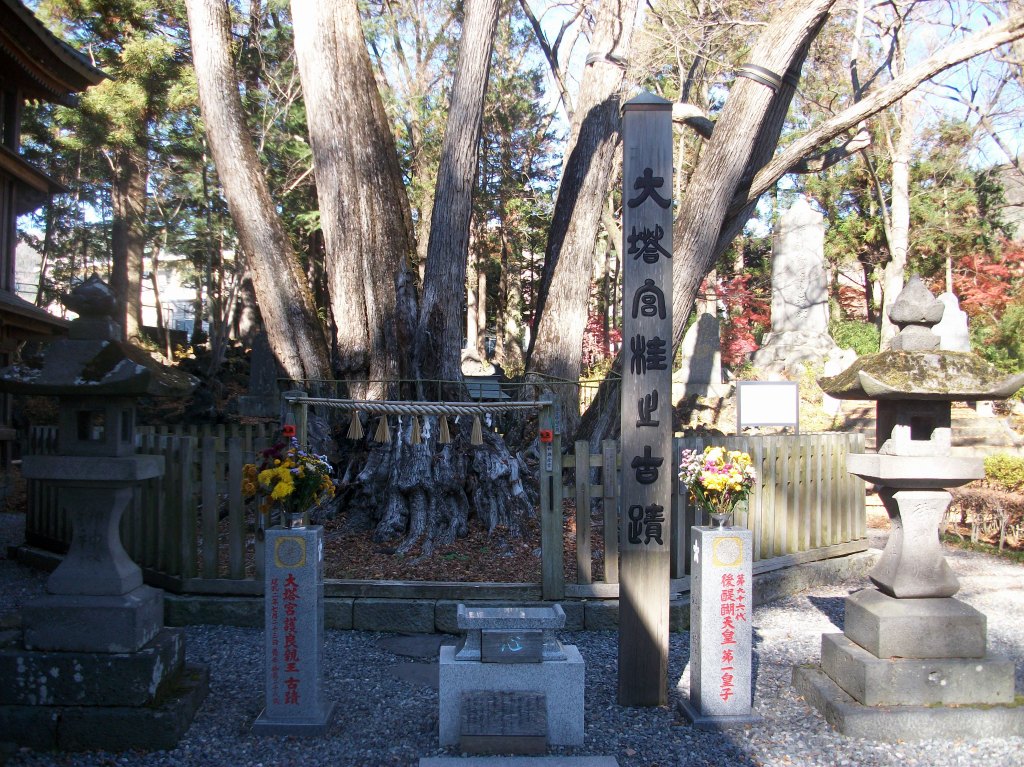 小室浅間神社 (7)