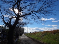 wada_20131222-02.jpg