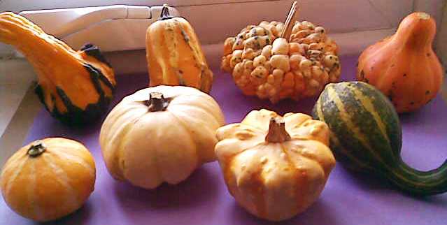 Image042_20111008005713.jpg
