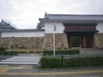 IMGP3378.jpg