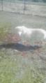20120418151446.jpg