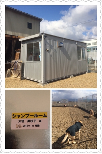 シャンプーデー2月 012