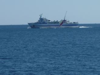 P1020241_1.jpg