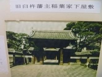 P1020267_1.jpg