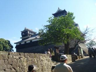 P1020294_1.jpg
