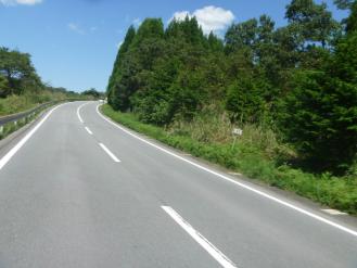 P1020346_1.jpg