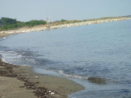P1020720_1_1.jpg