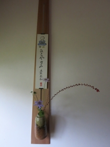 松虫草