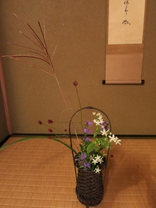 アケボノソウと サワギキョウ