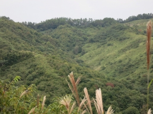 秋の雲月山