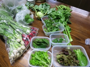 旬の野菜畑から直行