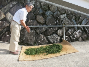 天日に干す
