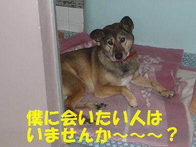 P1430011.jpg