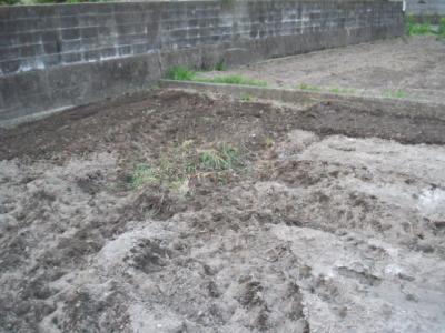 DSCF9238.jpg