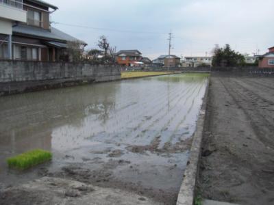 DSCF9248.jpg