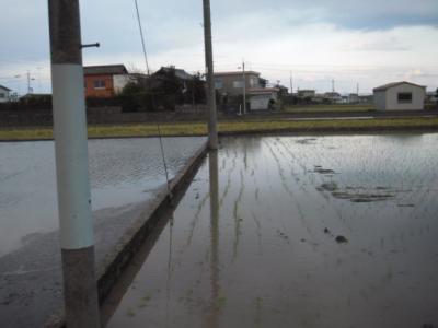 DSCF9250.jpg