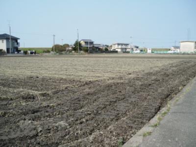DSCF9259.jpg