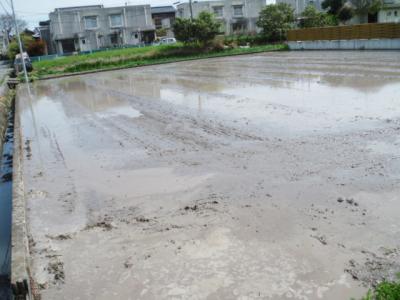 DSCF9320.jpg