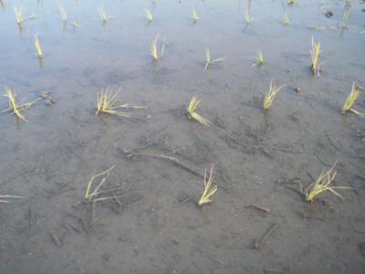 DSCF9338.jpg