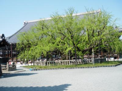 DSCF9351.jpg