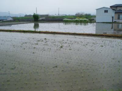 DSCF9354.jpg