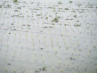 DSCF9355.jpg