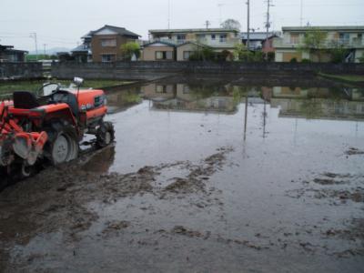 DSCF9356.jpg