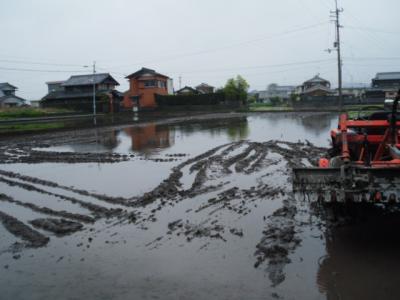 DSCF9357.jpg