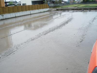 DSCF9364.jpg