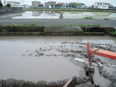 DSCF9365.jpg