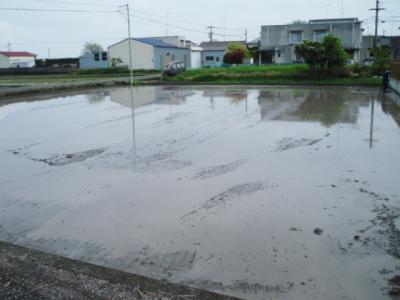 DSCF9372.jpg