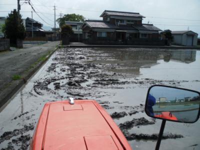 DSCF9377.jpg
