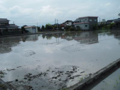 DSCF9380.jpg