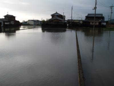 DSCF9394.jpg