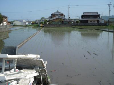 DSCF9412.jpg
