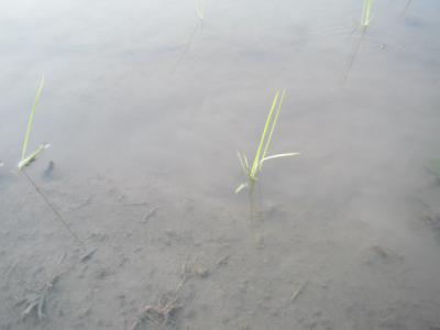DSCF9422.jpg