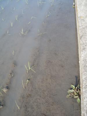DSCF9443.jpg