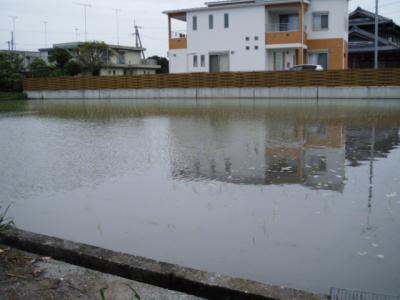 DSCF9449.jpg
