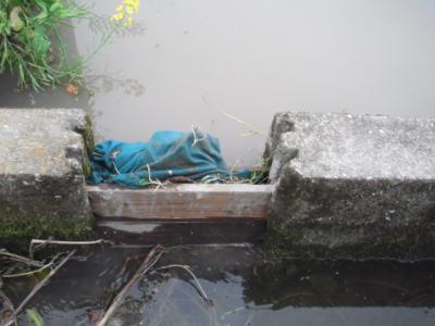 DSCF9453.jpg