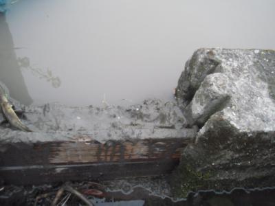 DSCF9454.jpg