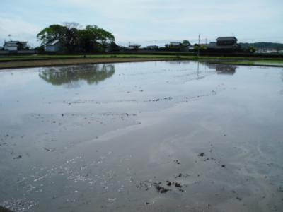 DSCF9471.jpg