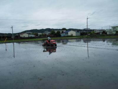 DSCF9479.jpg