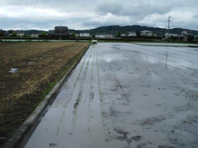 DSCF9491.jpg