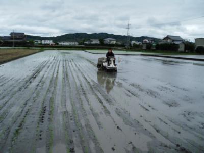 DSCF9496.jpg
